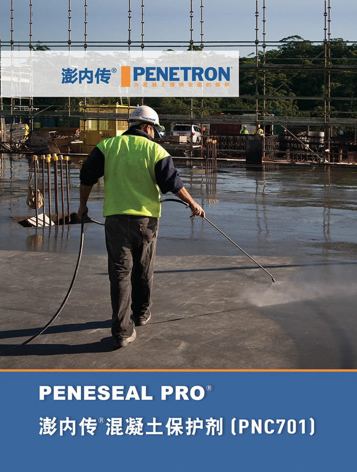 澎內(nèi)傳混凝土保護(hù)劑（PNC701）